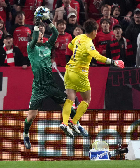 202311150000571-w500_0