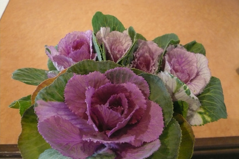 P1100008