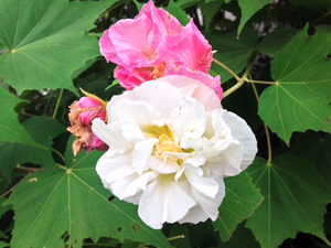 写真 2