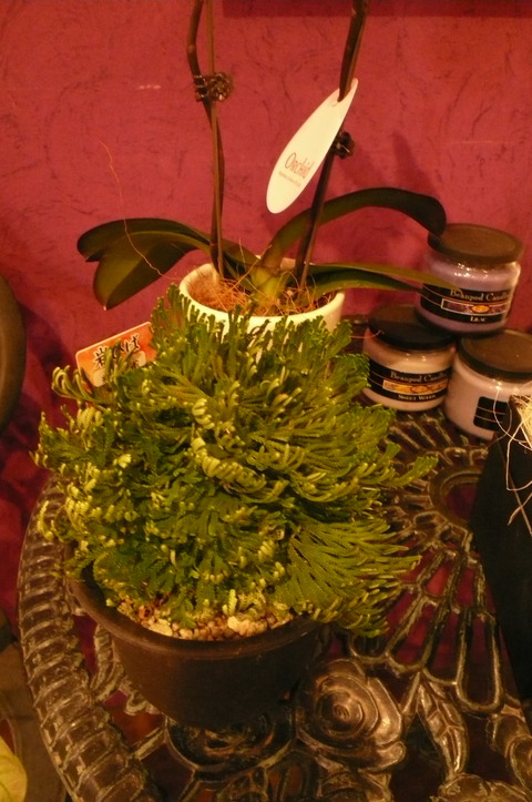 P1100656