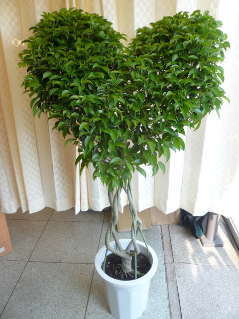 P1100363