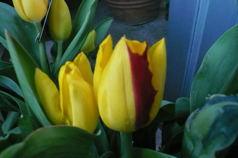 P1100101