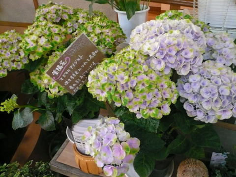 P1100463