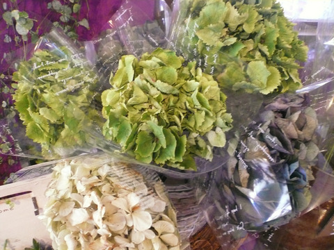 P1090581