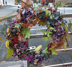 写真 1 (3)