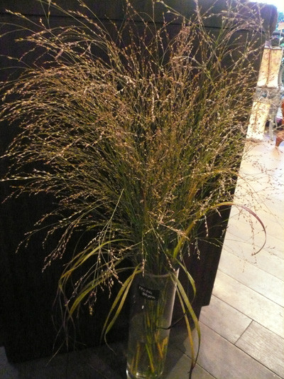 P1090577