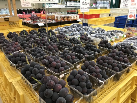 !cid_15e35df2b933a5894284