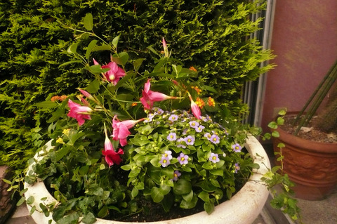 P1100473