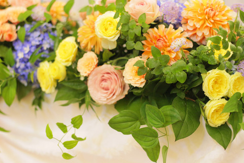 `wedd5