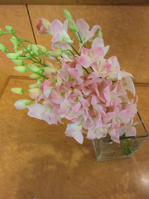 6d3d7355.jpg