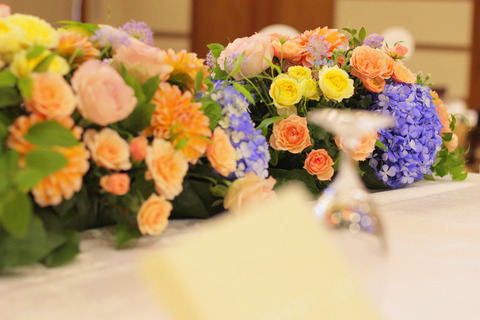 `wedd6