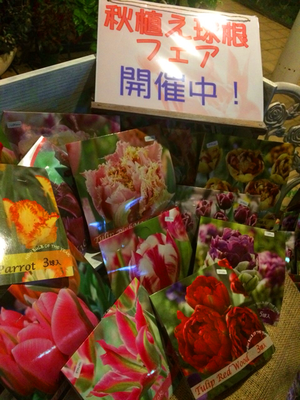 ディスプレイ４