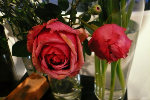 P1100107