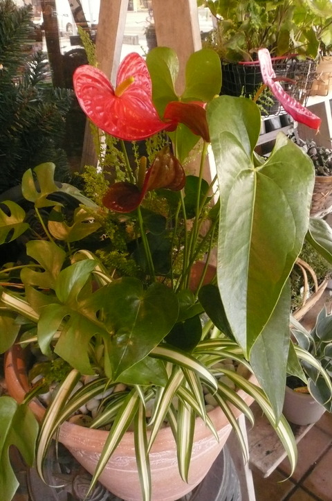 P1100405