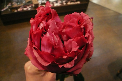 P1100106