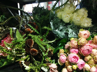 写真 2 (1)