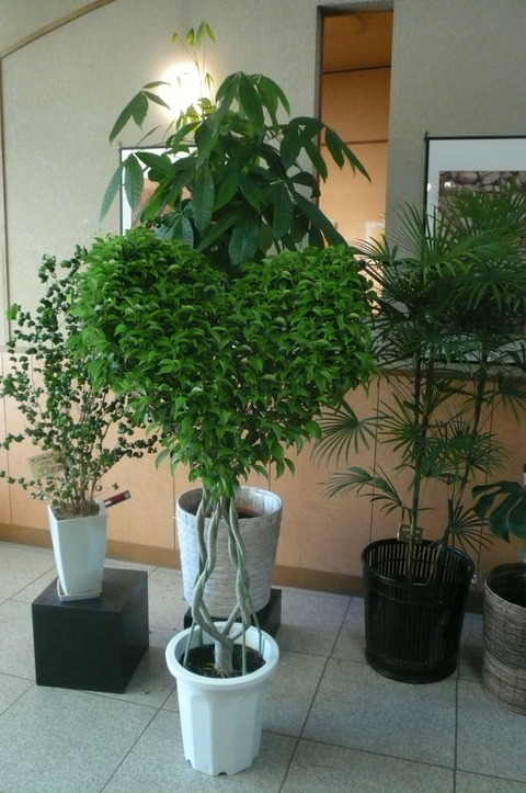 P1100365