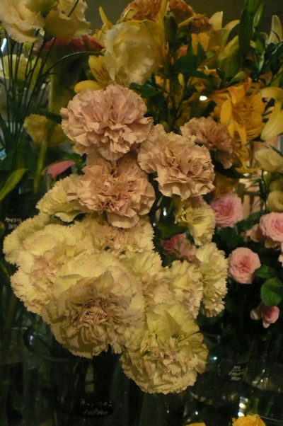 P1090705