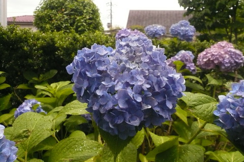 P1100407