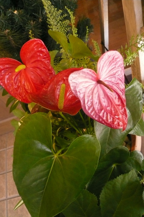 P1100407