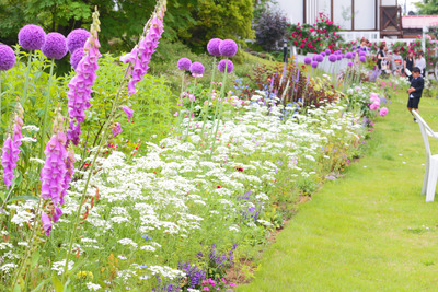 garden1
