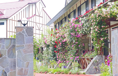 garden2