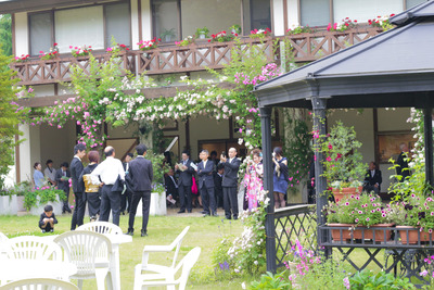 garden4