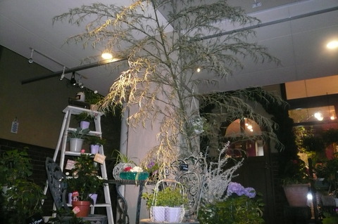 P1100465