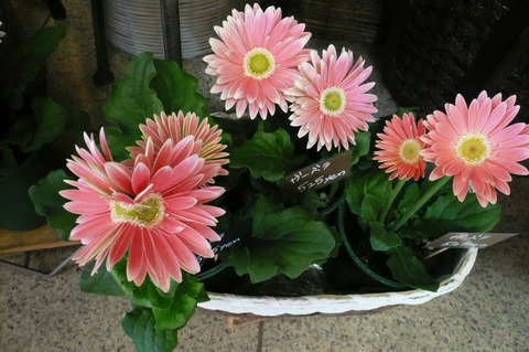 P1100057