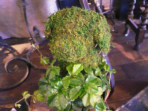 P1100081