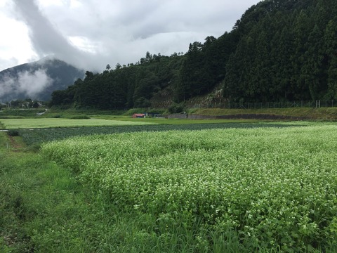 IMG_2574そば4
