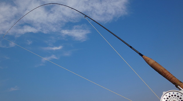 岩井渓一郎　LB Iwai Tune 8ft5 #3 岩井渓一郎 LB Iwai Tune 8ft5 #3 - メルカリ