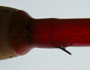 Tsuruya Glass Feel Customed ～ これもいつかは… : Key Taccata's FF