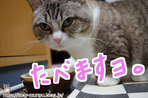 お嬢様のお食事 アニメーションgif ムタアマ お嬢様のお食事 アニメーションgif ムタアマ