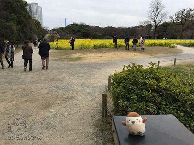新橋 浜離宮恩賜庭園 きいたんのしみっち 新橋 浜離宮恩賜庭園 きいたんのしみっち