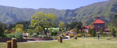 778-1024x426-1