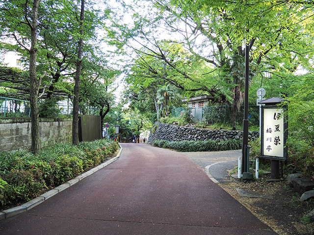 上野東照宮の階段3