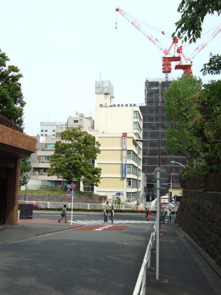 紅梅坂(NO.207)2