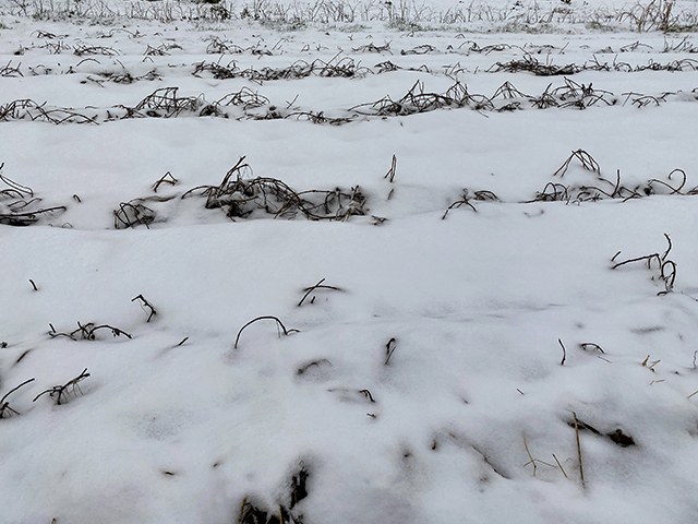 雪の日の東京(とある街の風景338)3