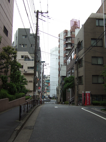 樹木谷坂(NO.167)2