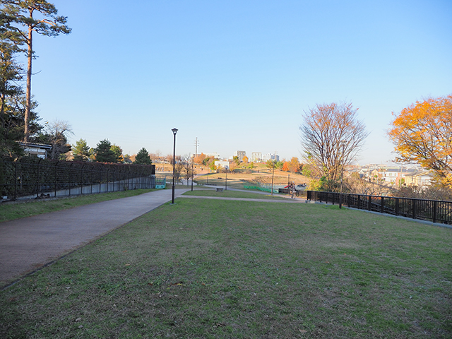 ��������ٿ��Ҳ��γ��ʤ�����������3