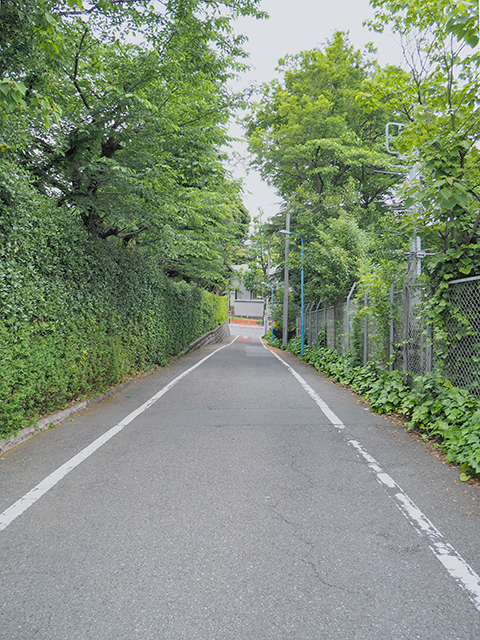 ���̺��NO.433��1+