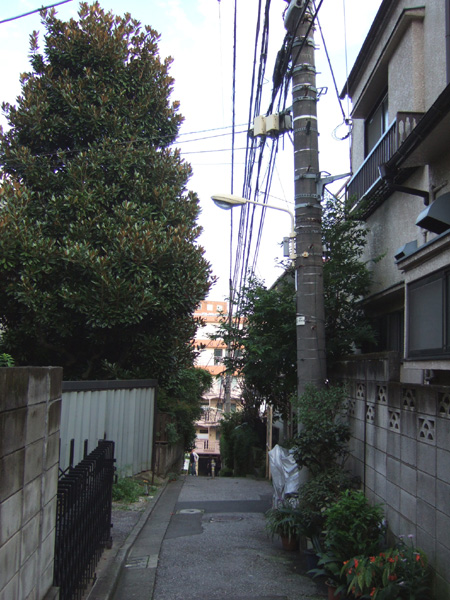 代官坂(NO.151)1