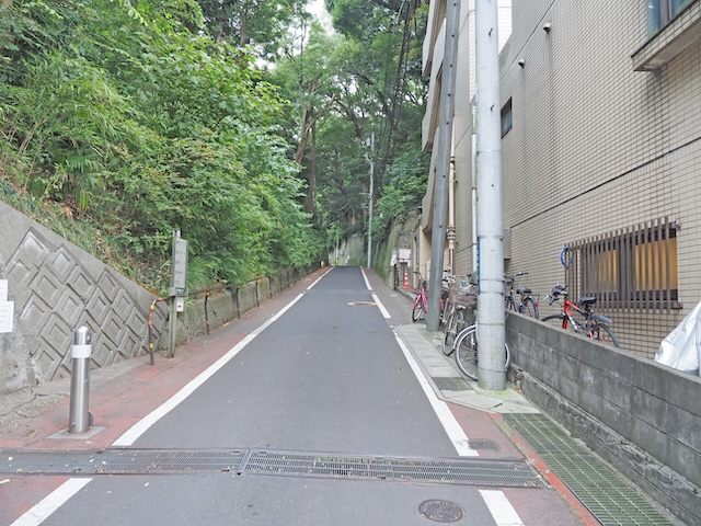 �ڤ��̤���ʤ��⡩��1