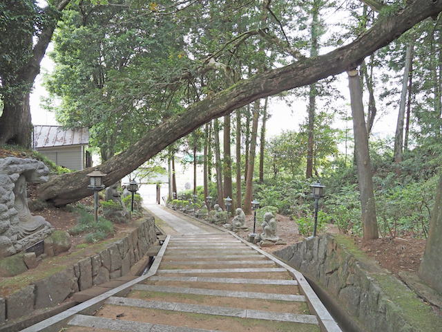 �ֱ�߷�� ������פκ�ƻ�ȳ��ʡ���¿�෴���ν�Įʿ��4