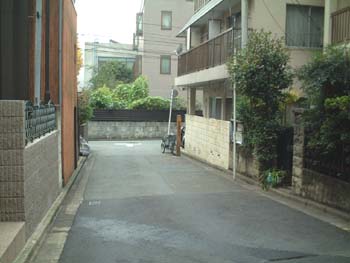 fujisaka9_sakasita