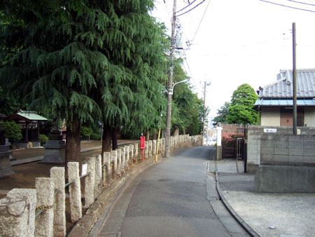�ᤰ�ߺ��NO.230��1