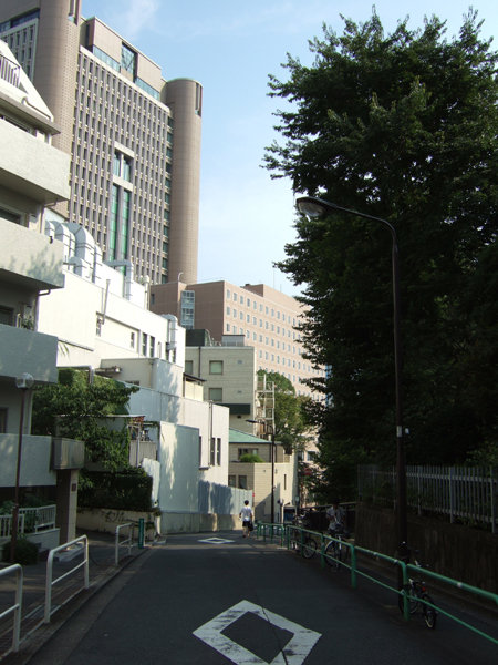 錦華坂(NO.217)1