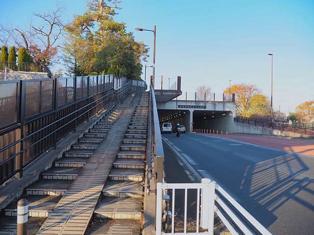 ��������ٿ��Ҳ��γ��ʤ�����������1