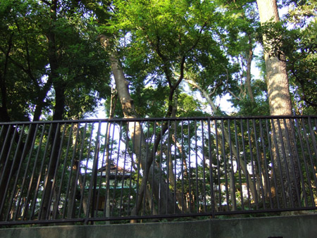 ���ں�(NO.154)4